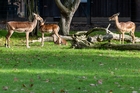 Zoo Krefeld