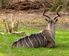 Zoo Krefeld