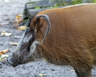 Zoo Krefeld