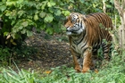 Zoo Krefeld